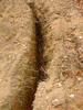 The water line.